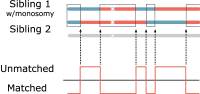 LD-CHASE identifies regions with matched haplotypes across sibling embryos and deduces the crossover positions.